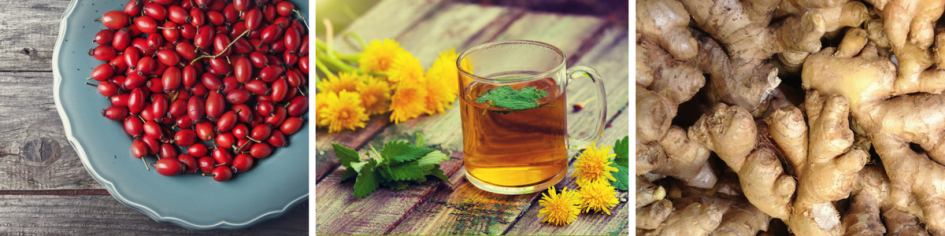 Preventivni ukrepi pred virusi.